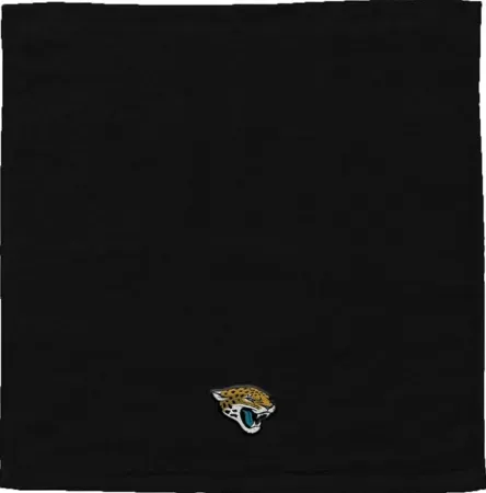 4-Pack 12"x12" Northwest NFL Wash Cloths