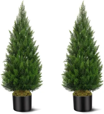Mavis's Diary 3' Faux Cedar Topiary Pair with Cement Pots