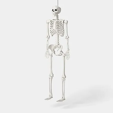 60" Hyde & EEK! Boutique Poseable Lifesize Skeleton Halloween Prop