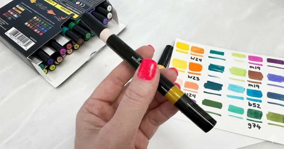 Dual-Tip Acrylic Paint Markers 24-Pack