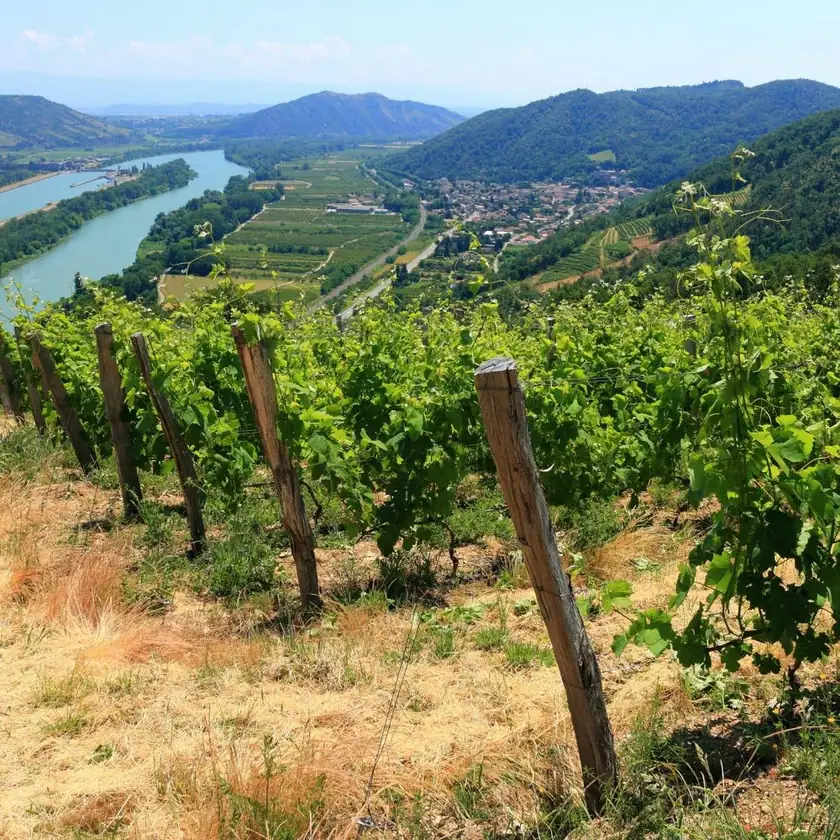 Riviera Travel 7-Night Burgundy, Rhône & Provence River Cruise for From $5,298 for 2