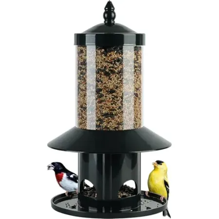 Dreamdrawer 11" Squirrel-Proof Bird Feeder