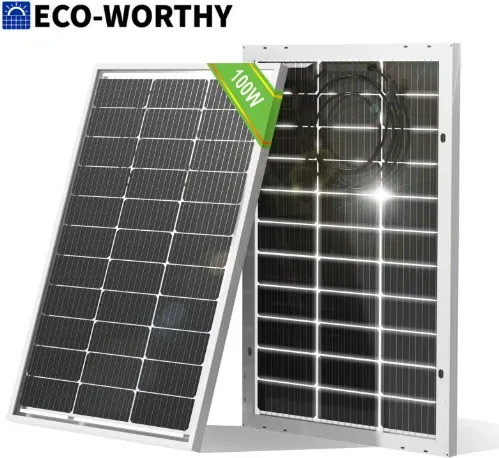 ECO-WORTHY 100W 12V Bifacial Monocrystalline Solar Panel