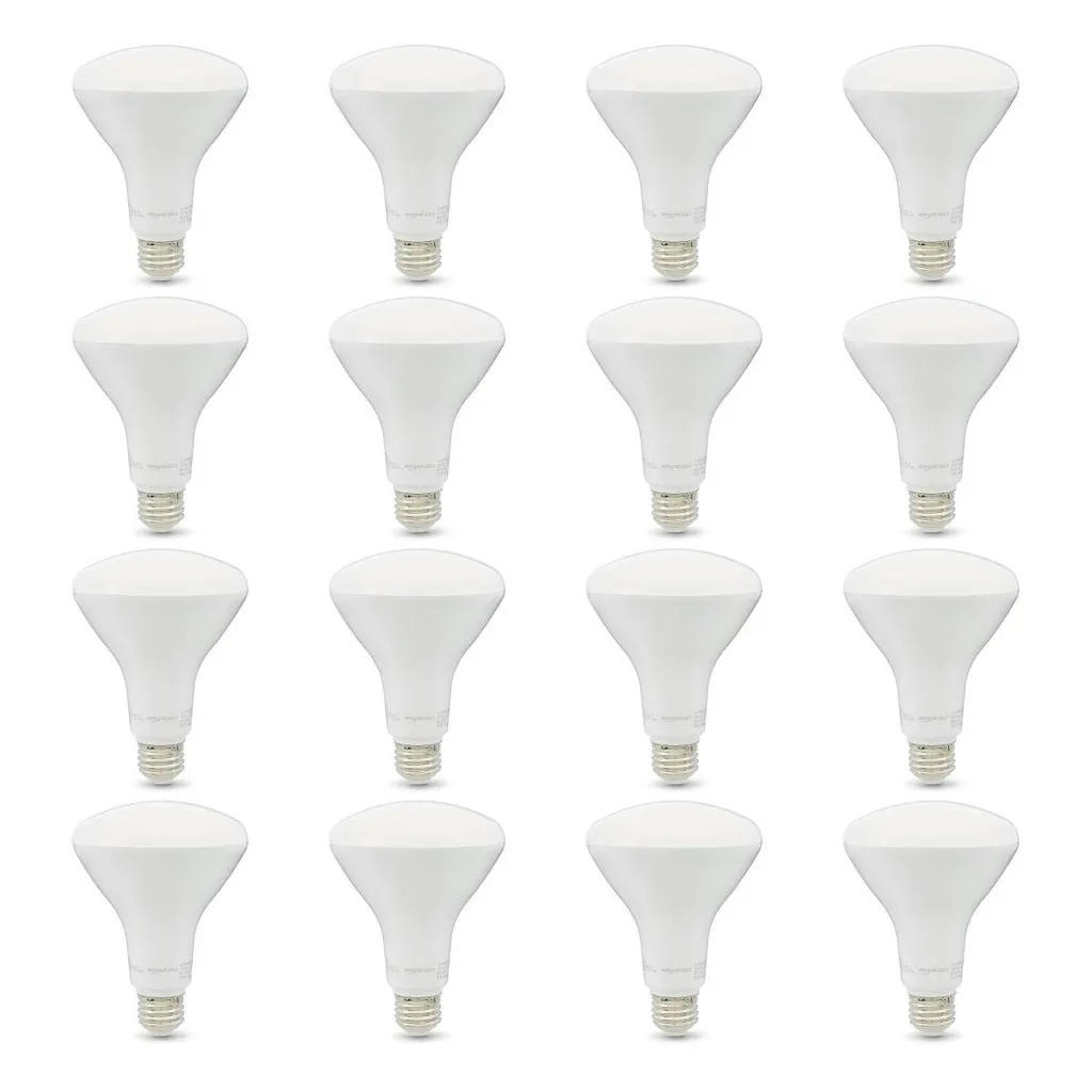 Amazon Basics BR30 LED Light Bulb 16-Pack