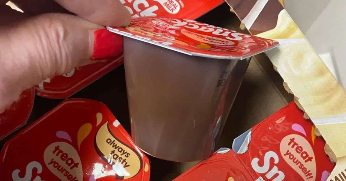 Snack Pack Chocolate and Vanilla Flavored Pudding Cups 12-Count