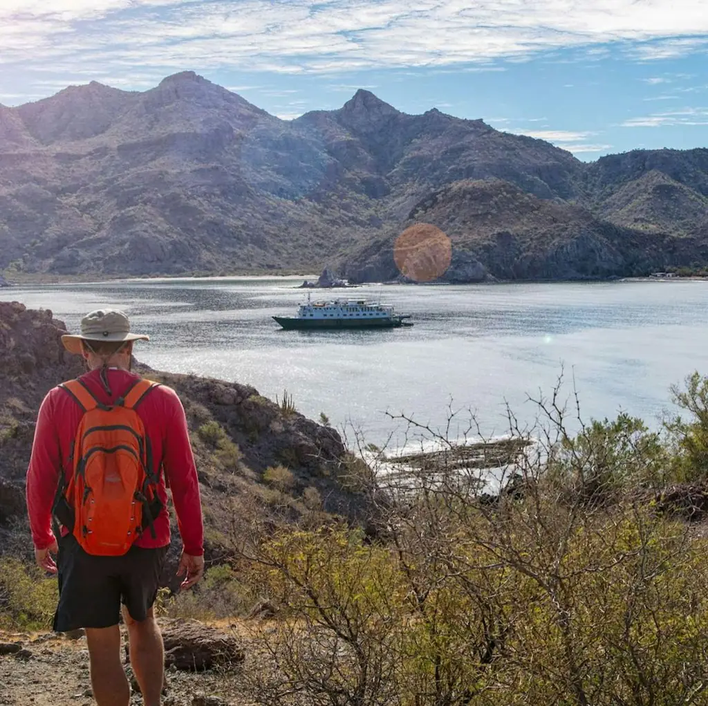 UnCruise 8-Night Baja California Whales & Sealife Adventure for From $14,800 for 2