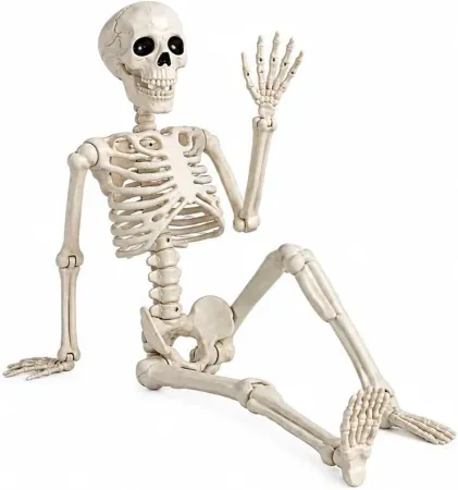 36" GCNBCNB Poseable Halloween Skeleton w/ Movable Joints & Hanging Hook