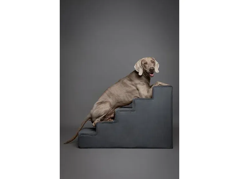 Noah & Paw Vegan Leather Pet 5 Stairs for Dogs & Cats