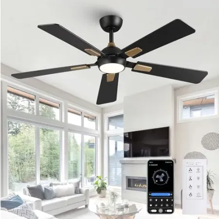 CalorHoga 52" Ceiling Fan with Lights and Remote