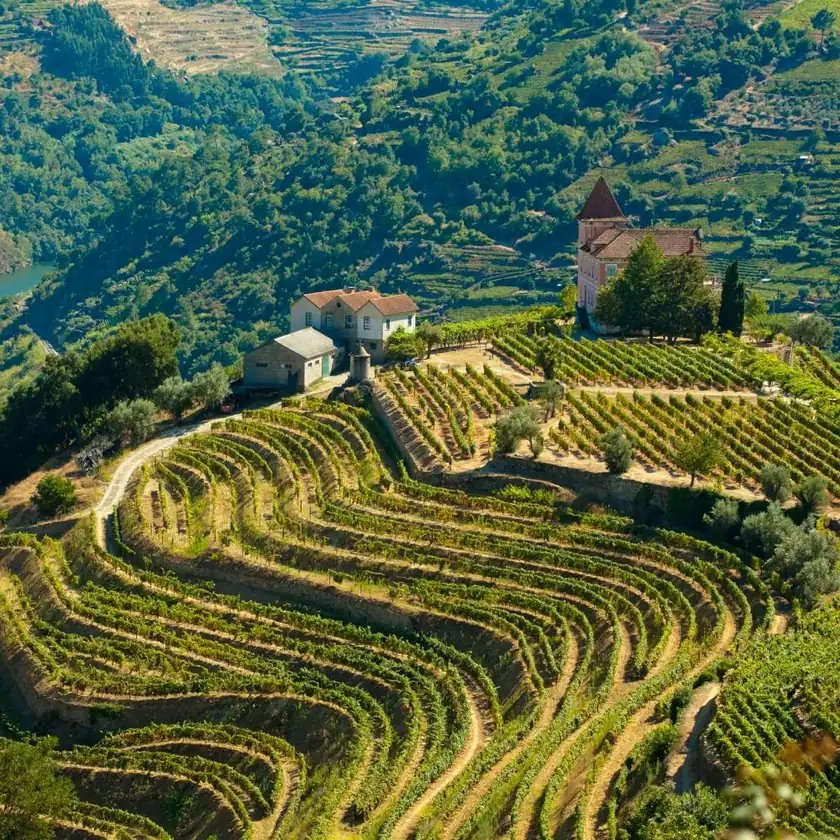 Riviera Travel 7-Night Douro River Cruise for From $4,998 for 2
