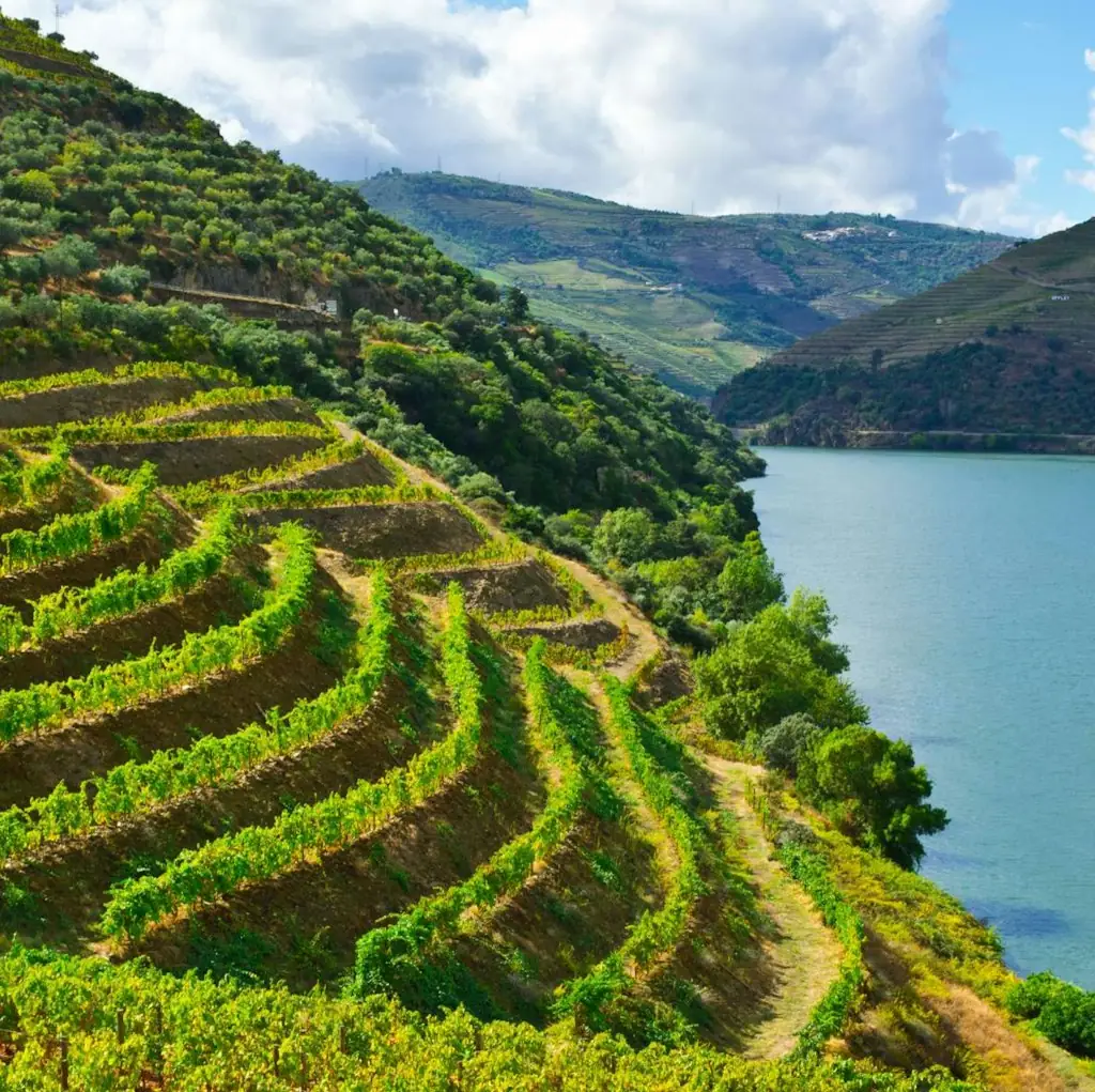 Indus Travels 7-Night Douro River Cruise w/ Flights for From $4,998 for 2