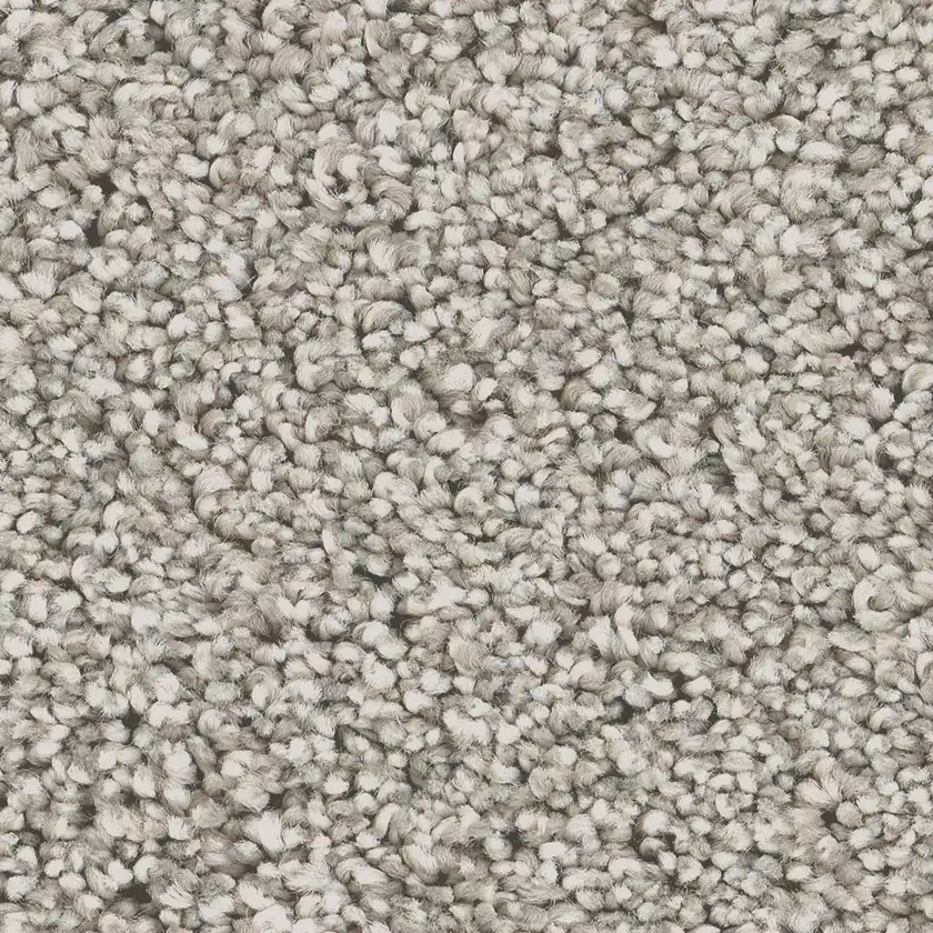 Stainmaster PetProtect Animal Instincts III Textured Indoor Carpet for From $2.92 per sq. ft.