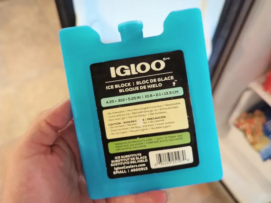 Igloo Reusable Ice Block Only 98¢ on Walmart.com (Perfect for Work & School Lunches!)