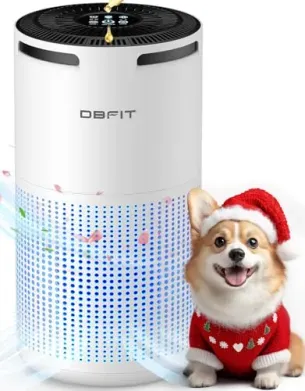 DBFIT W-01 Large Room H13 HEPA Air Purifier (Up to 1500ft²)