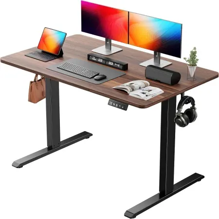 NEXT BEAUTY 48" x 24" Electric Standing Desk