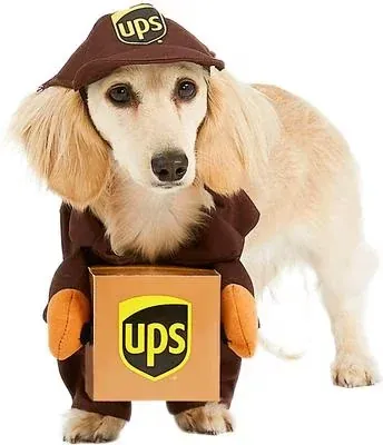 UPS Delivery Driver Dog & Cat Costume