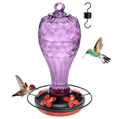 Jarkyfine 20 OZ Glass Hummingbird Feeders