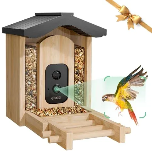 VISIOGEAR Bird Feeder with Camera (Gable)