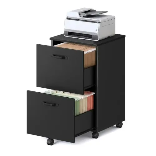 Vasagle Custos 2-Drawer Rolling File Cabinet