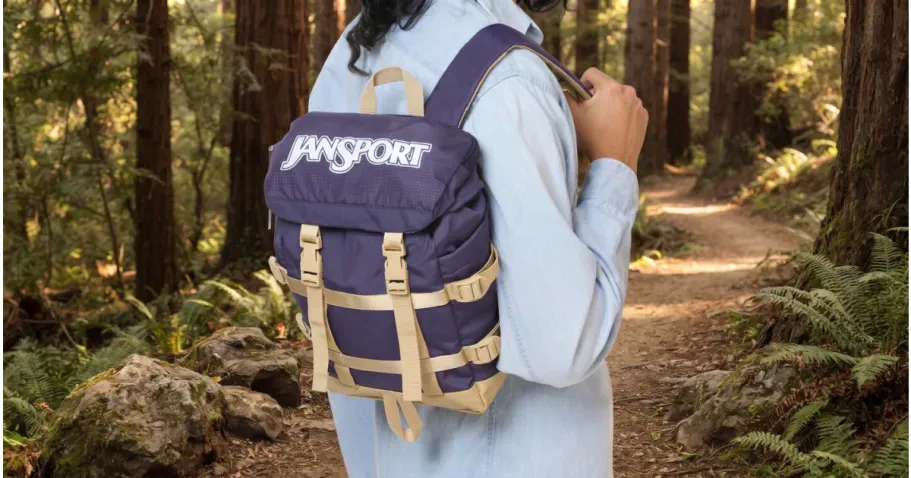 JanSport Amethyst Mini Backpack