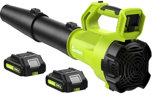 500 CFM Cordless Leaf Blower w/ 2 Batteries