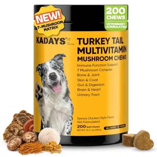 Turkey Tail Mushroom for Dogs - 200 Count
