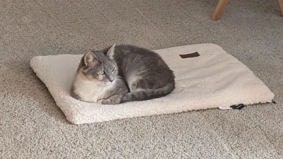 Mora Pets Self-Warming Pet Bed