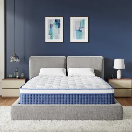 EGOHOME StarryRest 12" Euro Top Hybrid Mattress (Queen)