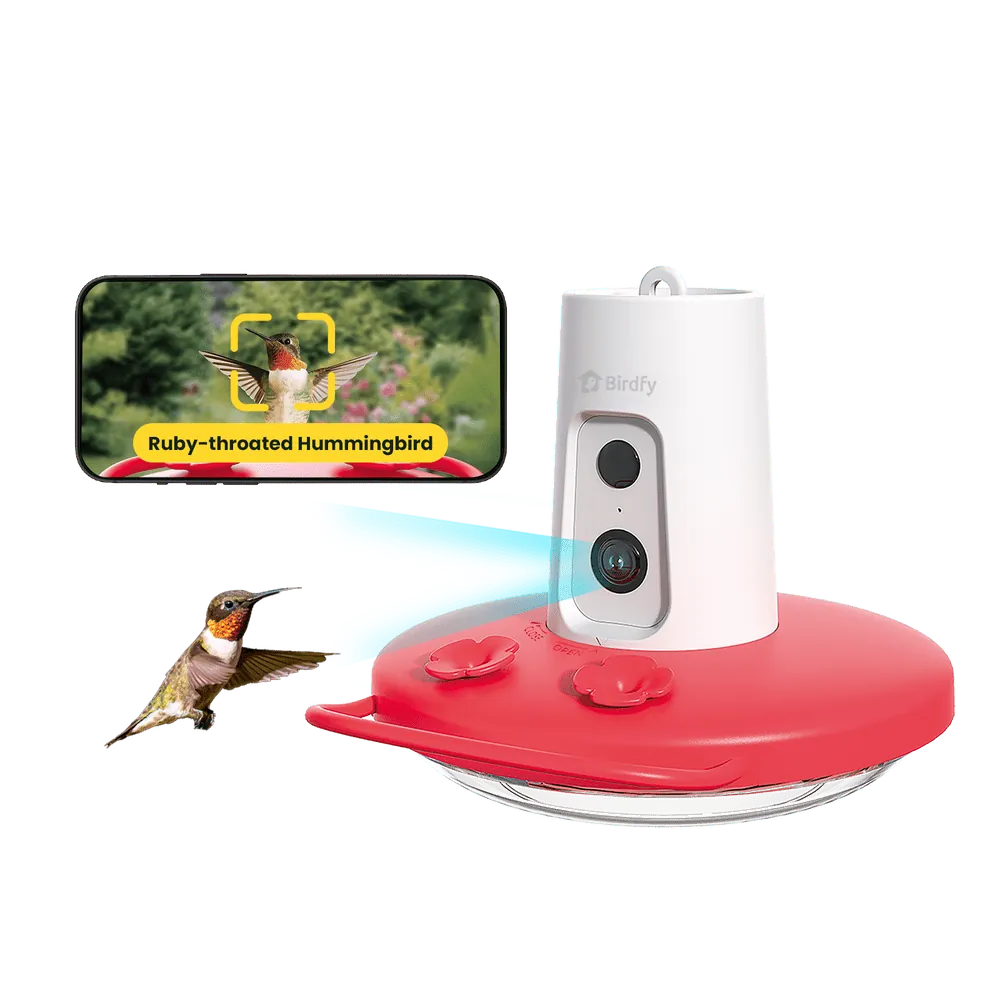 Birdfy AI Hummingbird Feeder w/ 1080p Camera