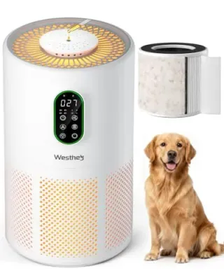 WESTHEY Air Purifier with Washable Filter