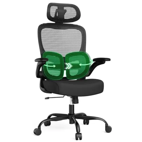 Ergonomic Office Desk Chair 350 LBS High-Back Mesh with Dual Lumbar Support & 3D Headrest
