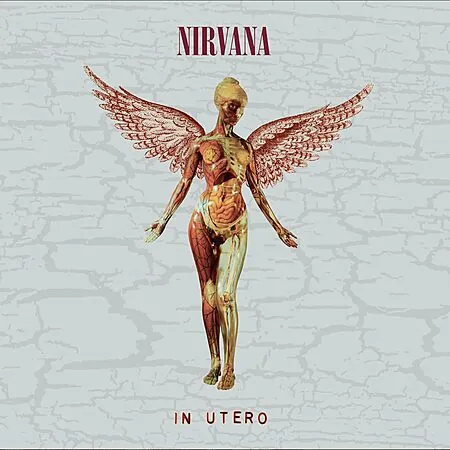 Nirvana: In Utero: 30th Anniversary Deluxe Edition (2-Disc Audio CD)