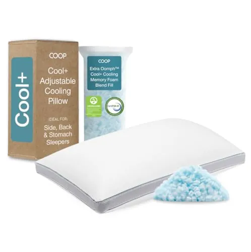 Coop Home Goods Cool+ Adjustable Pillow Queen Size