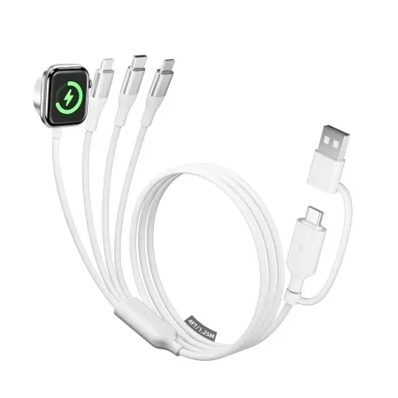 4' A-Pce 4-in-2 Multi-Charging Cable