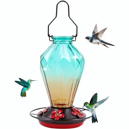 Glass Hummingbird Feeder 25Oz