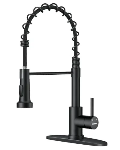 WEWE Single-Handle Pull-Down Kitchen & Bar Sink Faucet (Matte Black)