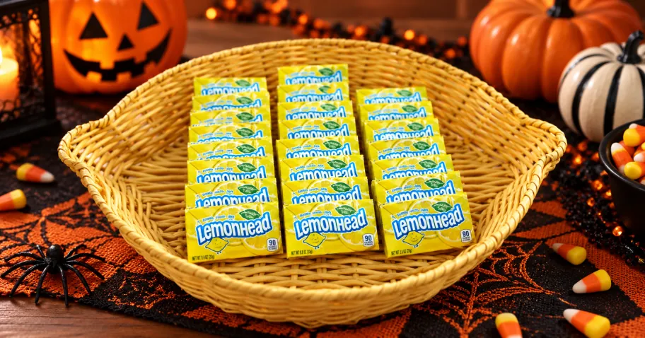 Lemonhead Candy Box 24-Pack