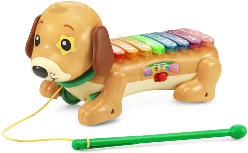 VTech Zoo Jamz Doggy Xylophone with Accessories