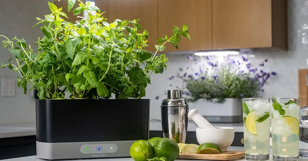 AeroGarden Harvest XL Indoor Hydroponic Garden System with Seed Pod Kit