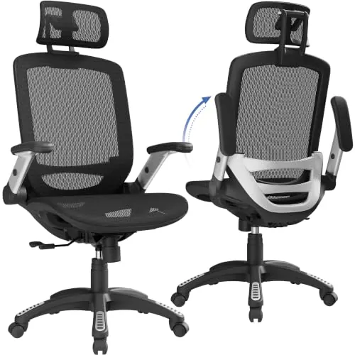 GABRYLLY Ergonomic Office Chair High Back with Headrest