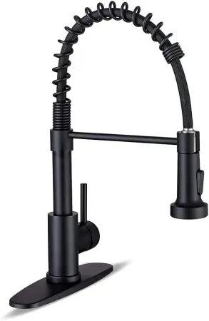 WEWE Kitchen Faucet w/ Pull Down Sprayer