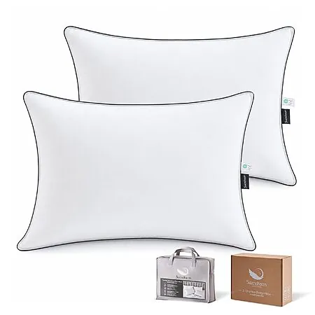 2-pk Swandream Goose Feather & Down Bed Pillows (standard)