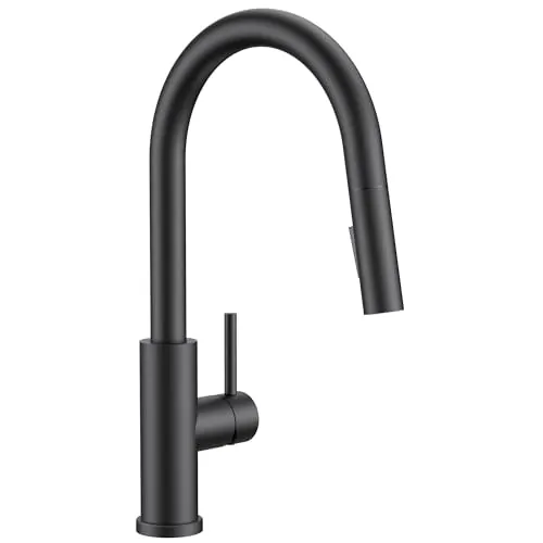 Forious Kitchen Faucet with Pull-Down Sprayer