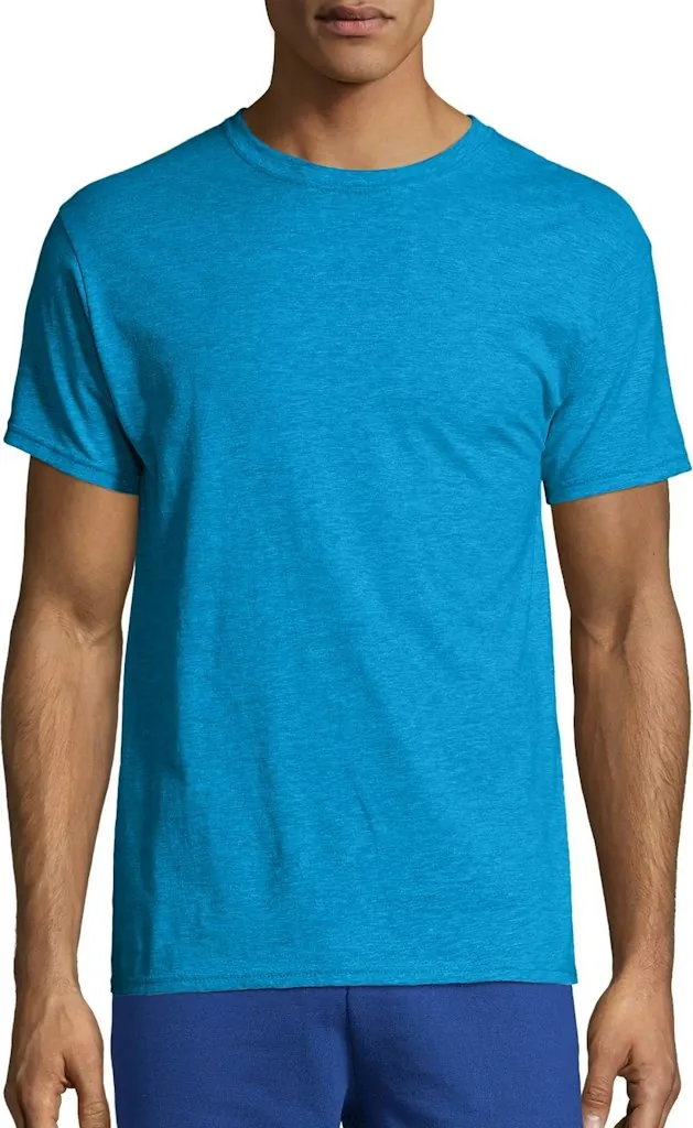 Hanes Men's X-temp Tee 2-Pack (S only)