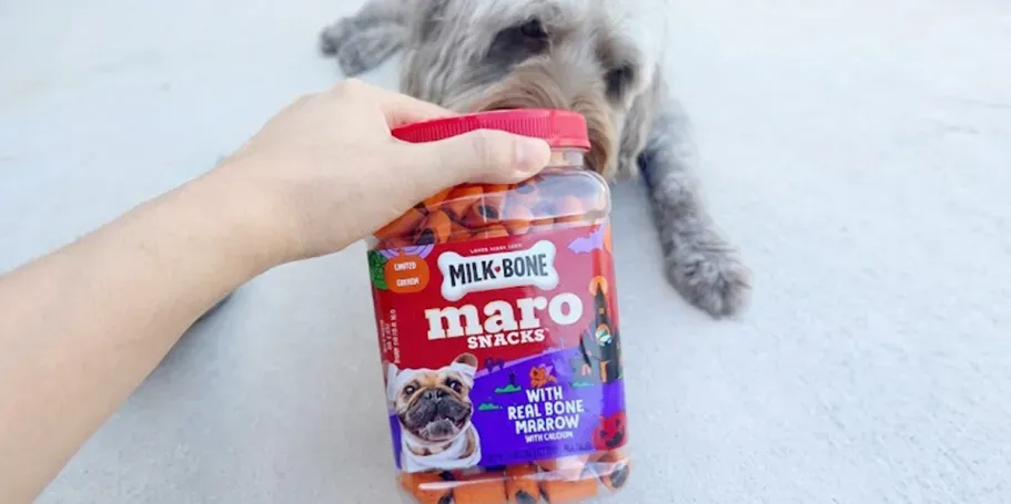 Milk-Bone MaroSnacks Halloween Dog Treats 25oz