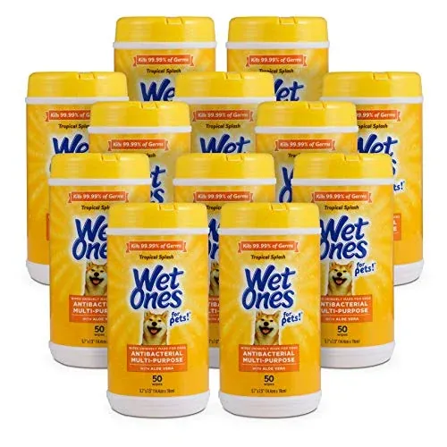 Wet Ones for Pets Antibacterial Dog Wipes Tropical Splash, 12-Pack 50-Count
