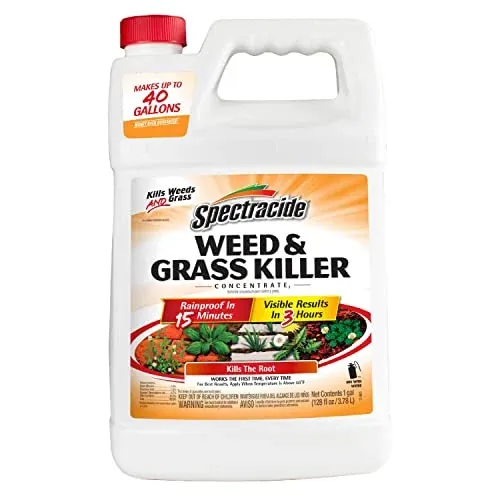 Spectracide Weed & Grass Killer Concentrate for Driveways & Walkways 1 Gallon