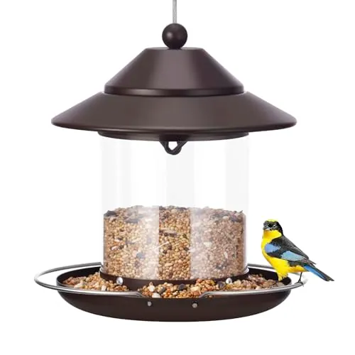 Hanging Small Metal Roof Bird Feeder with Clear Tube Seed, 2 lb