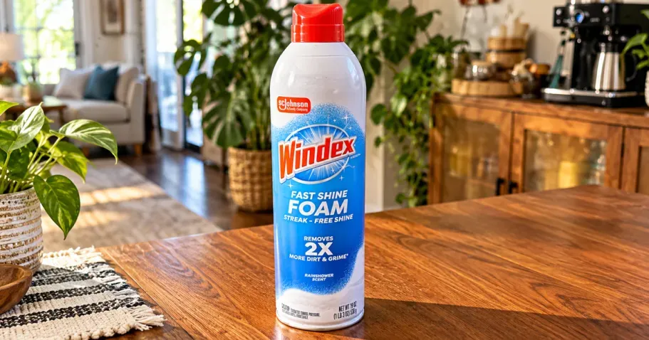 Windex Fast Shine Foam Glass Cleaner 19oz