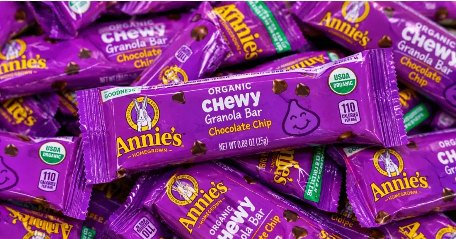 Annie’s Organic Chewy Chocolate Chip Granola Bars 12-Count
